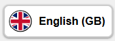 Translate Gestaltungsvariante Icon und Sprache